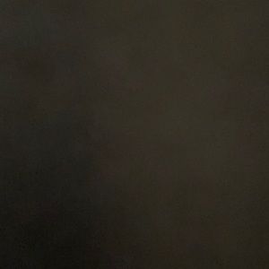 Three matte glosses. Three Fly Girl LipSense.